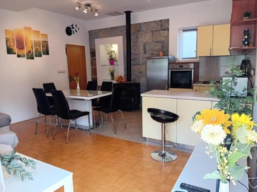 Slime Apartment | Cozy APARTMAN Josipa Slime: Pet Friendly & Family Ready