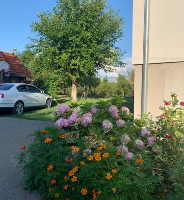Catrnja Apartment | Child-Friendly Stay at Apartman MAURO - Rated 9/10