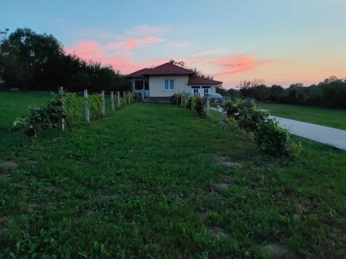 Central Serbia Apartment | Pet-Friendly Stay at Apartman Milenkovic - Rated 9.9/10!