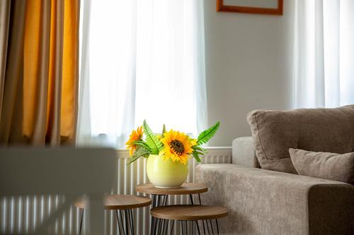 Sabac Apartment | Apartman Suncokret Šabac