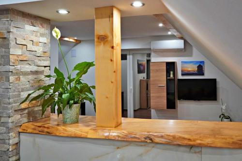 Ravna Gora Apartment | Oceanfront Bliss at Apartman Tilia - Rated 9.6/10