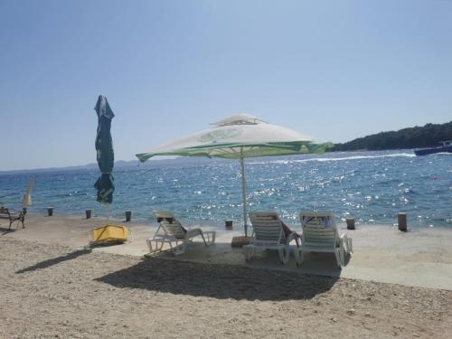 Zdrelac Apartment | Pet-Friendly Apartment Zita with Ocean Views for Families