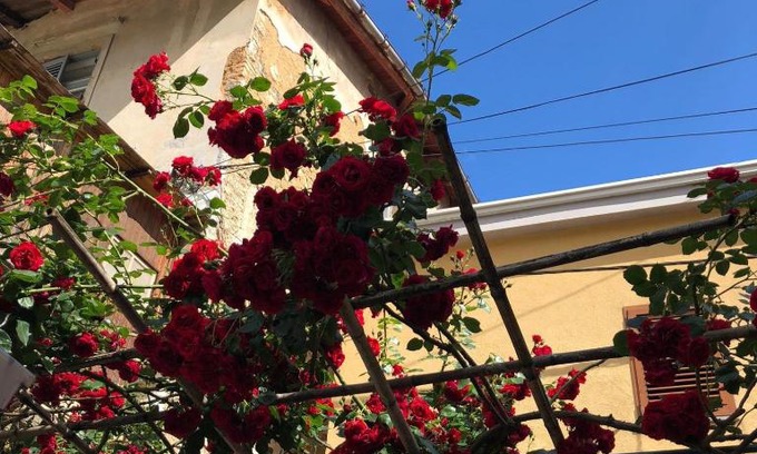 Ika Apartment | Family-Friendly Apartmani Banina with High Guest Rating