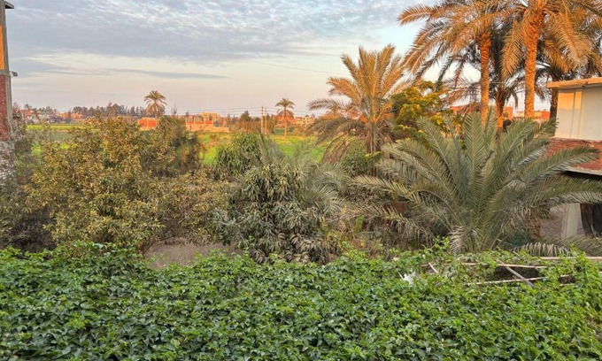 Al Husayniyah Apartment | Apartment in a village