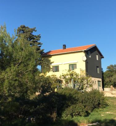 Silba Apartment | Oceanfront Apartment ŽUŽI on Silba Island, Croatia