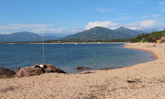 Porticcio Apartment | Beachside Retreat: Guest Rated 9.8 with Ocean Views