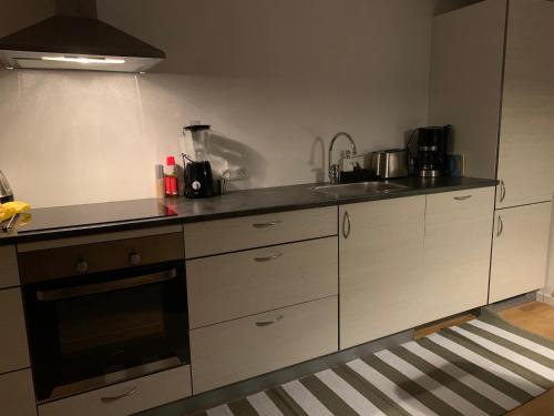 Torshavn Apartment | Convenient Apartment Steps from City Center with Kitchen