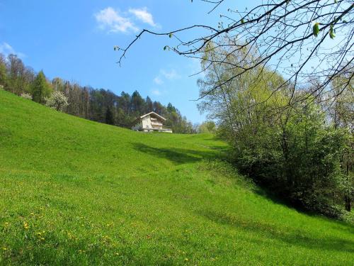 Goldegg Apartment | Family-Friendly Stay at Apartment Achtalgut-3 by Interhome