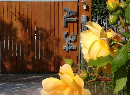 La Morra Apartment | Pet-Friendly Retreat at Apartment AL34 - Rated 9.6/10