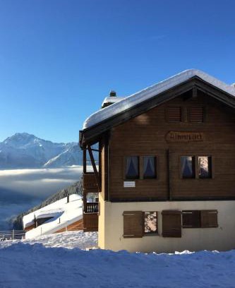 Riederalp Apartment | Child-Friendly Stay at Apartment Almenrausch Andreas