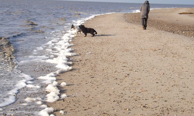 Rosenkranz Apartment | Pet-Friendly Apartment with Ocean View and Accessible Features