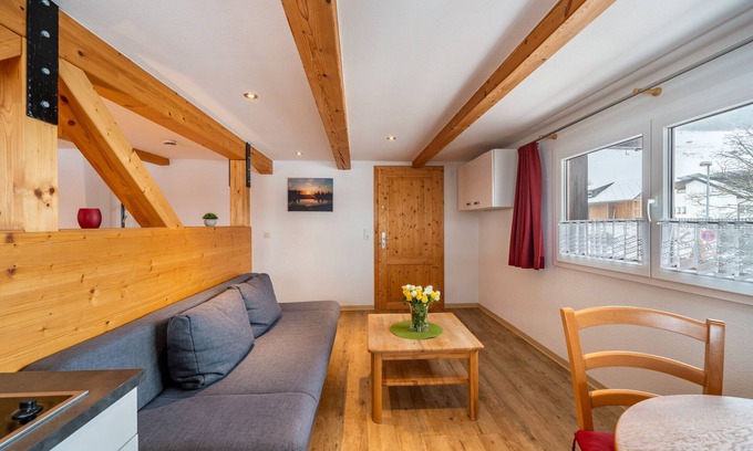 Todtnauberg Apartment | Apartment 'Bergsonne' with Mountain View, Shared Terrace and Wi-Fi
