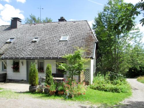 Feldberg Apartment | Cozy Apartment Blechnerhof-2: Pet & Child Friendly Stay