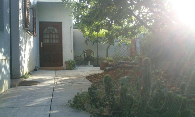 Bozava Apartment | Pet-Friendly Apartment Božava - Nena with High Guest Rating
