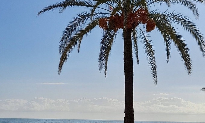 San Jorge Apartment | Golf and Sea View Apartment with Pool and Spa Amenities
