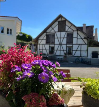 Ravensburg Apartment | Inviting Café Canapé Ravensburg near Bodensee & Messe