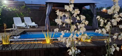 Novi Grad Sarajevo Apartment | Exceptional Apartment Casa Sarajevo: Rated 9.8 with Pool