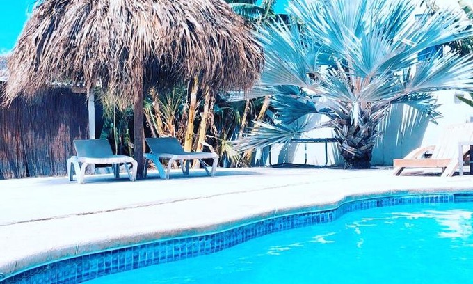 Willemstad Resort | Welcoming Apartment Curacao with Pool and Breakfast Options