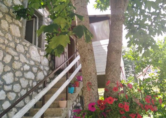 Virak Apartment | Discover Apartment Dobre Vode: Pet-Friendly & Family-Oriented
