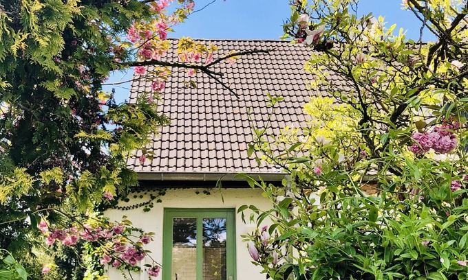 Brusewitz Apartment | Modern Apartment 'Fräulein Tulpenboom' Near City with Pool