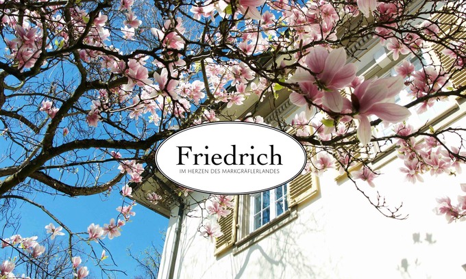 Muellheim Apartment | Pet-Friendly Apartment 'Friedrich' with Pool & Breakfast