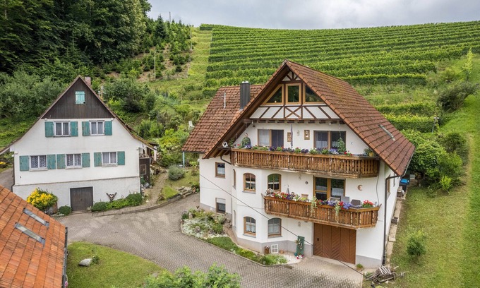 Oberkirch Apartment | Cozy Apartment 'Gisela Müller' with Mountain View & Wi-Fi