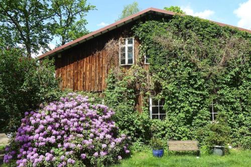 Dorfmark Apartment | Pet-Friendly Holiday Flat at Ferienhof Dorfmark Retreat