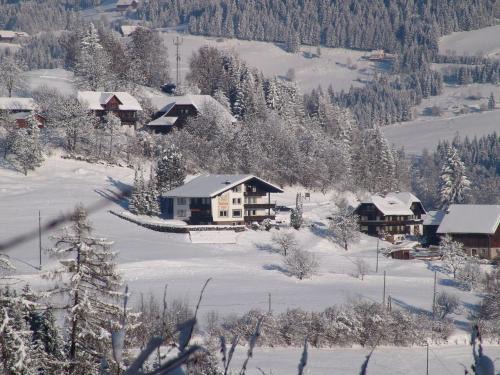 Verditz Apartment | Comfortable Apartment in Afritz am See by Ski Area
