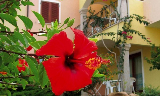 Badesi Apartment | Guest Rated 10/10: Poolside Flat in Residence Badus