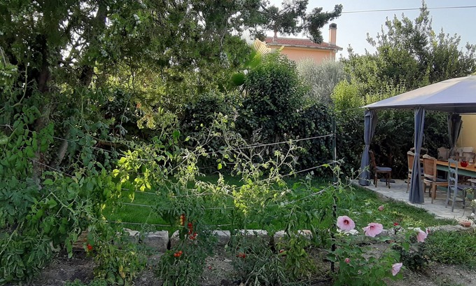 Trans-en-Provence Apartment | Cozy Apartment in the Heart of Provence with Pool & Breakfast