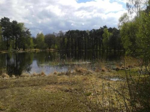 Groenlo Apartment | Inviting Apartment in Historical Groenlo with Pool Access