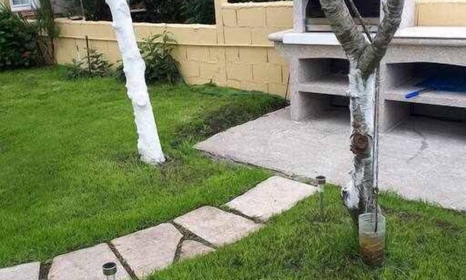 Larino Apartment | Cozy Apartment in Lariño with WiFi and Family Amenities