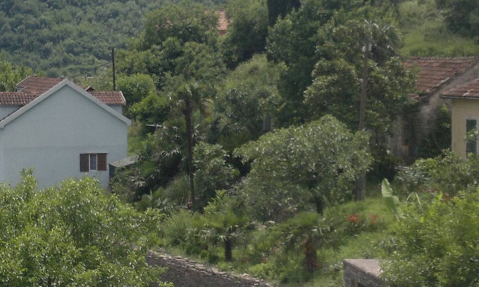 Zelenika Apartment | Cozy Apartment Near Herceg Novi with Wi-Fi & Parking