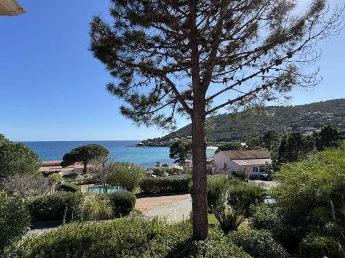 Tarcu Apartment | Oceanfront Apartment Le Télémaque with Pool & Pet Friendly