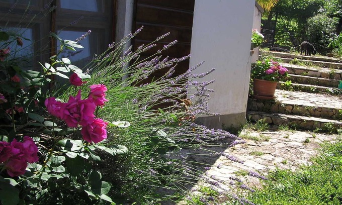 Motovun Apartment | Discover Apartment Motovun: Garden Views & Hot Tub Bliss