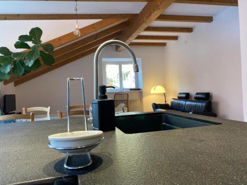 Old Town Apartment | Apartment Obstplatz - Pet Friendly with Free Parking