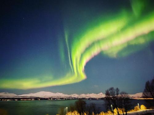 Tromso Apartment | Family-Friendly Apartment on Whaleisland with High Ratings