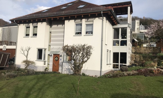 Auerbach Apartment | Relax at Apartment Rita with Sauna, Terrace & Pet-Friendly Stays