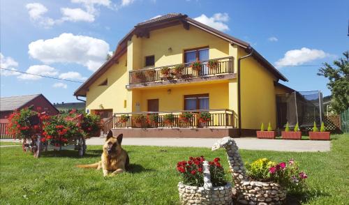 Korenica Apartment | Oceanfront Apartment Satori: Guest Rated 9.7 & Pet Friendly