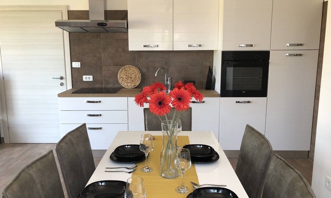 Ilovik House | Seaview Apartment Ilovik: Guest Rated 10/10 & Pet Friendly