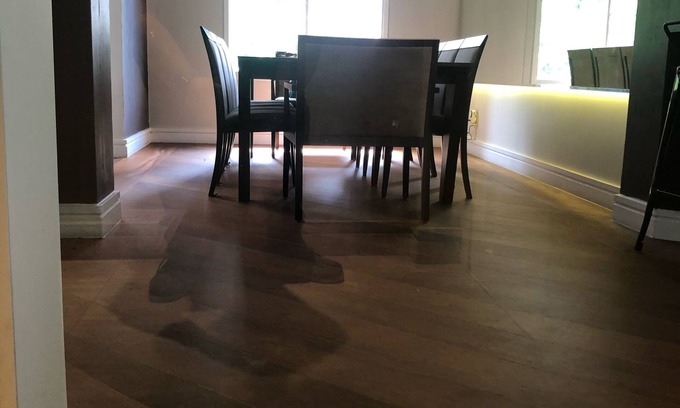 Brooklin Paulista Apartment | Convenient Apartment SP in Campo Belo Near Shopping Centers