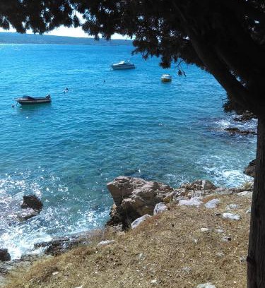 Selce Apartment | Oceanfront Apartment Sunce: Pet Friendly & 10/10 Rated Stay