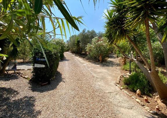 Son Macia Apartment | Relaxing Retreat: Apartment Tejado - 4-Star Adults Only
