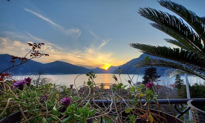 Ljuta Apartment | Pet-Friendly Apartment Terazza Di Ljuta with Top Reviews