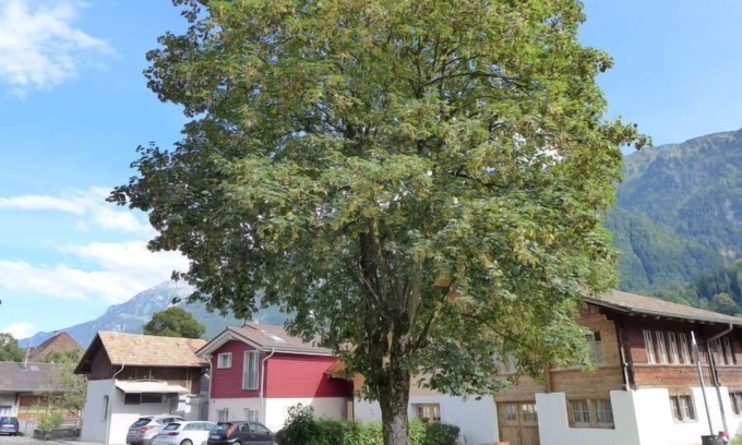Boenigen Apartment | Unforgettable Stays at Tilia by Interhome - Top Rated!