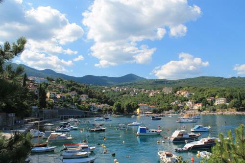 Opric Apartment | Oceanfront Apartment Tominovic: Pet-Friendly Retreat