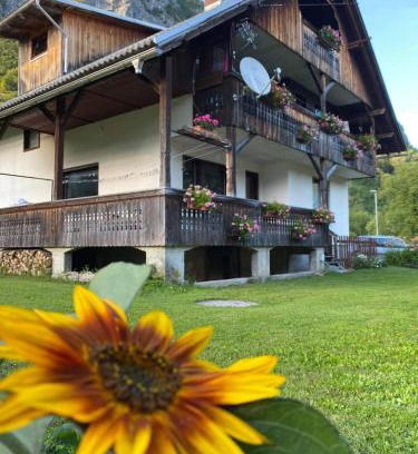 Studor Apartment | Top-Rated Apartment V&N by Beautiful Lake Bohinj