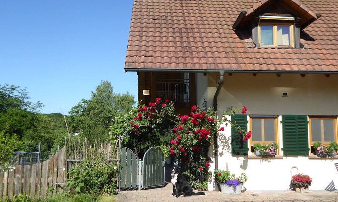 Kleinsteinhausen Apartment | Top-Rated Apartment Waldblick with Pool & Ocean View