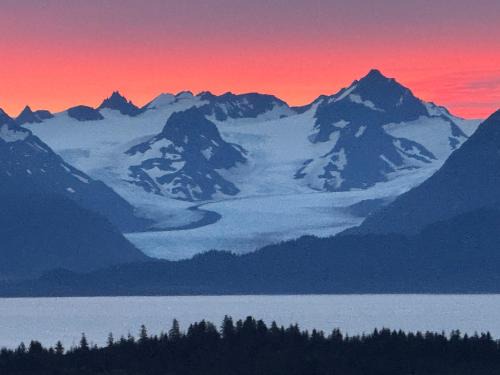 Homer Apartment | Pet-Friendly Apartment in Central Homer with Scenic Views