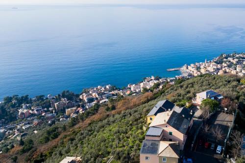 Poggio Favaro-San Bernardo Apartment | Seaside Apartment with Private Garden in Bogliasco